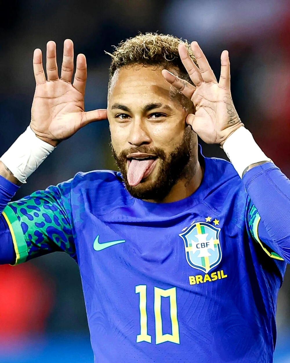 他的断言再 他的断言再