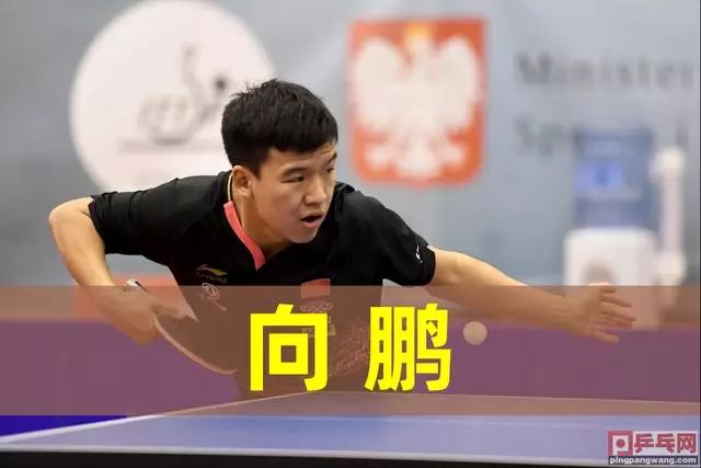 篮球勇士五